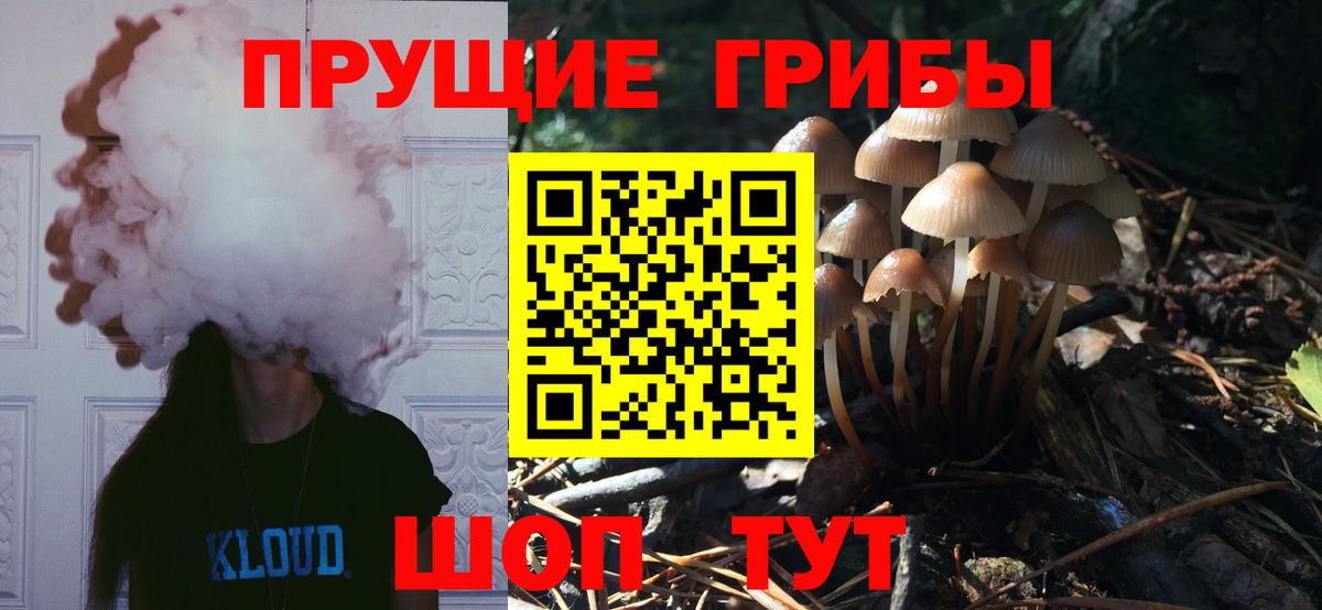 Галлюциногенные грибы мицелий  Вход с VPN  Псилоцибиновые грибы Magic Shrooms  Карталы 